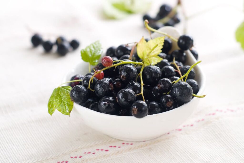 bol cu coacaze negre proaspete pe stergar traditional