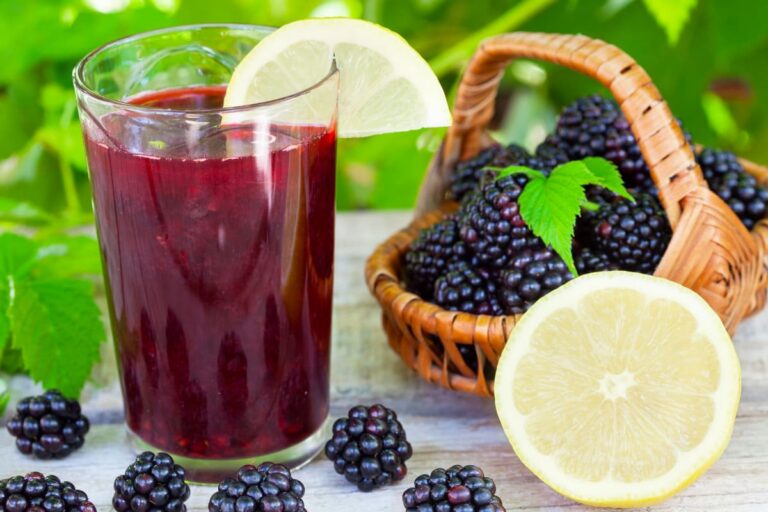 sirop de mure in pahar alaturi de lamaie si cosulet cu mure